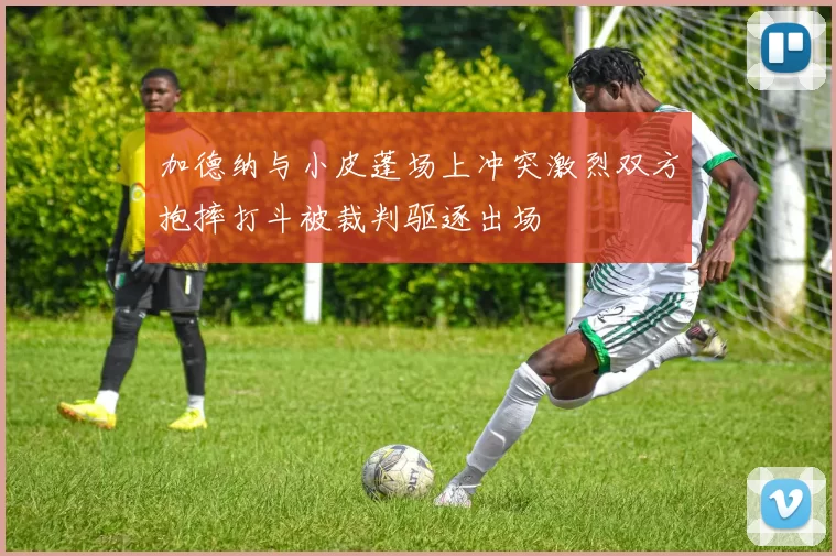 加德纳与小皮蓬场上冲突激烈双方抱摔打斗被裁判驱逐出场
